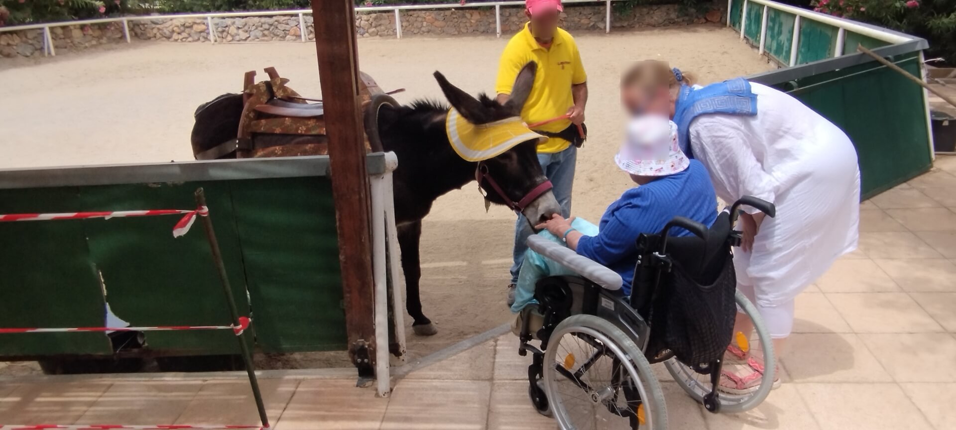 Accessible excursion to Crete Zoo Park